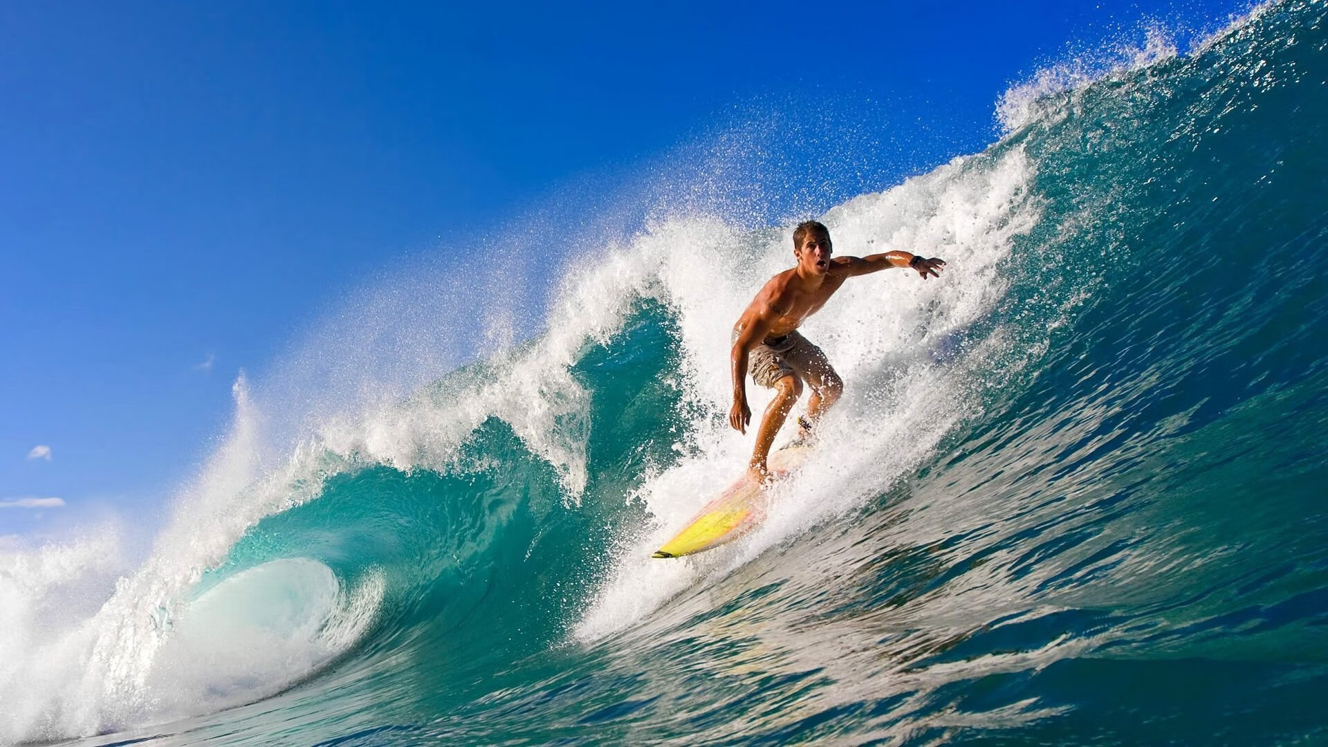 体育新闻中心构建体育赛事版权管理体系,体育比赛版权申请